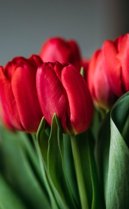 �P(gu��n)����I(y��)��ΰl(f��)չ����SEO��(n��i)��朳�Ҋ(ji��n)���F(xi��n)��ʽ��վ�c(di��n)��(n��i)����朽ӵ����c(di��n)���h